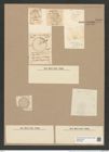 Coscinodiscus apollinis Ehr. (de-Toni-Nr.: Genus 202, Species 5096) Zeichnungen Sammlung Grunow Nr. 8855 (NHMW-BOT-W0378485)